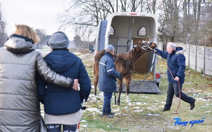 В Брестской области девушке подарили лошадь