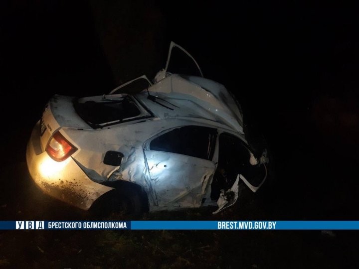 В Каменецком районе водитель легковушки врезался в дерево и погиб