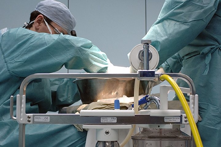 Минздрав разъяснил изменения о заборе органов у умерших доноров