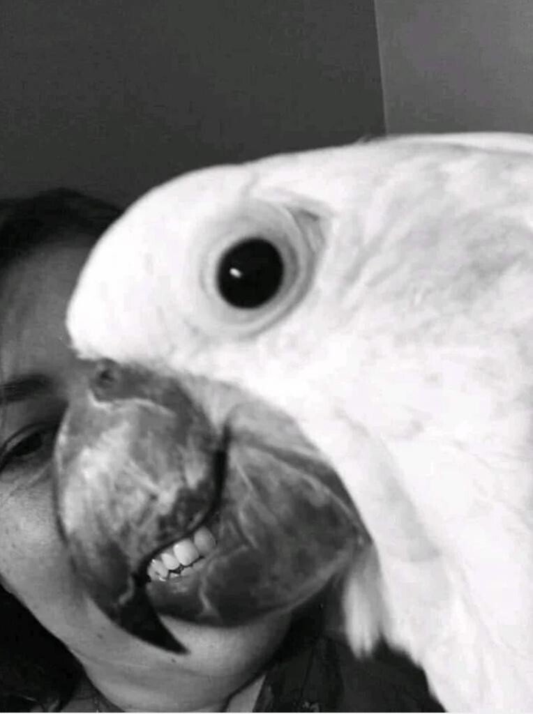 22 неоднозначные фотографии, о которые сам черт глаз сломит