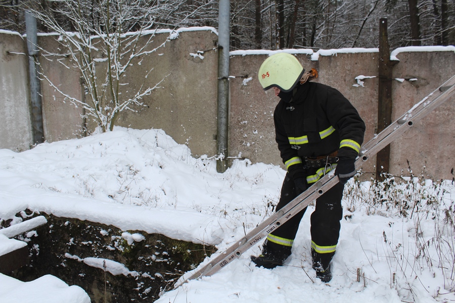 В Беларуси спасли лебедя. Подробности случая