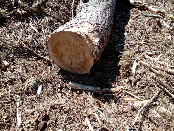 В Каменецком районе погиб житель Жабинки