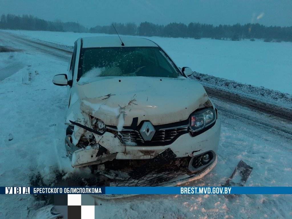 В Брестской области произошло лобовое ДТП. Подробности