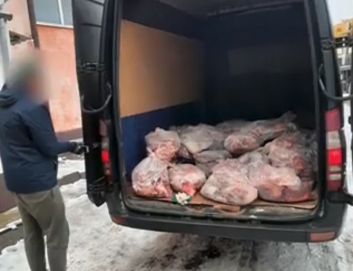 Барановичские милиционеры выявили факт хищения сотен килограмм говяжьей продукции