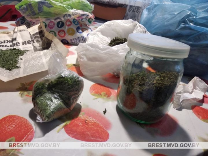 Житель Бреста хранил в родительском доме в деревне полкило марихуаны