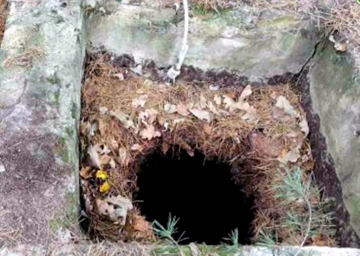 Фото Телерадиокомпания «Брест»