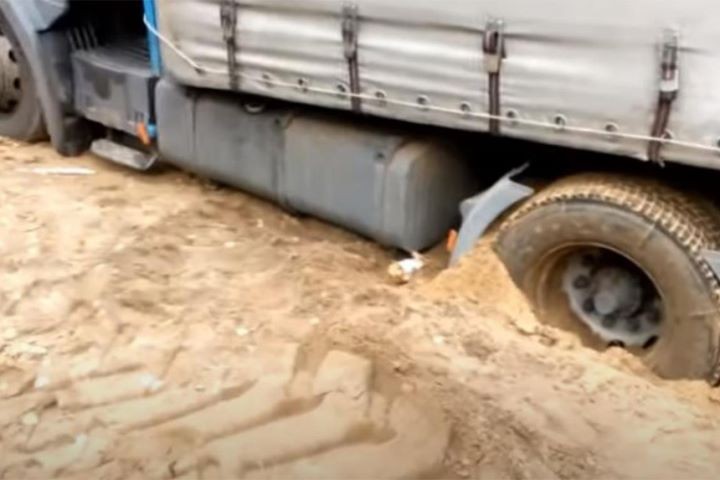 Белорусский дальнобойщик на двое суток застрял посреди леса в Польше