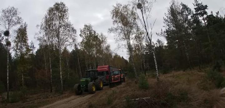 Белорусский дальнобойщик на двое суток застрял посреди леса в Польше