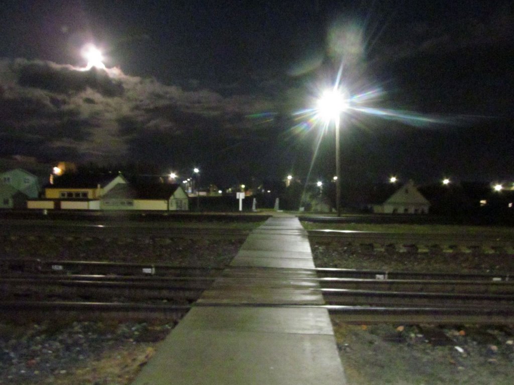 В Беларуси 16-летний подросток попал под поезд. Мальчик выжил и не помнит, что с ним произошло