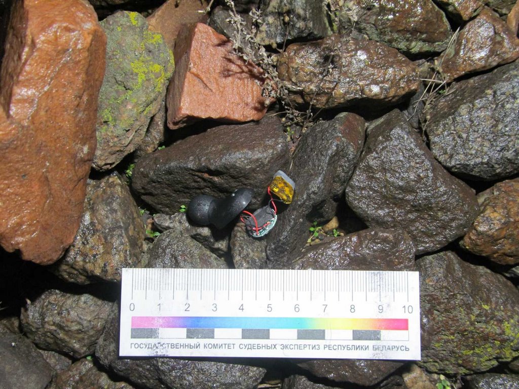 В Беларуси 16-летний подросток попал под поезд. Мальчик выжил и не помнит, что с ним произошло