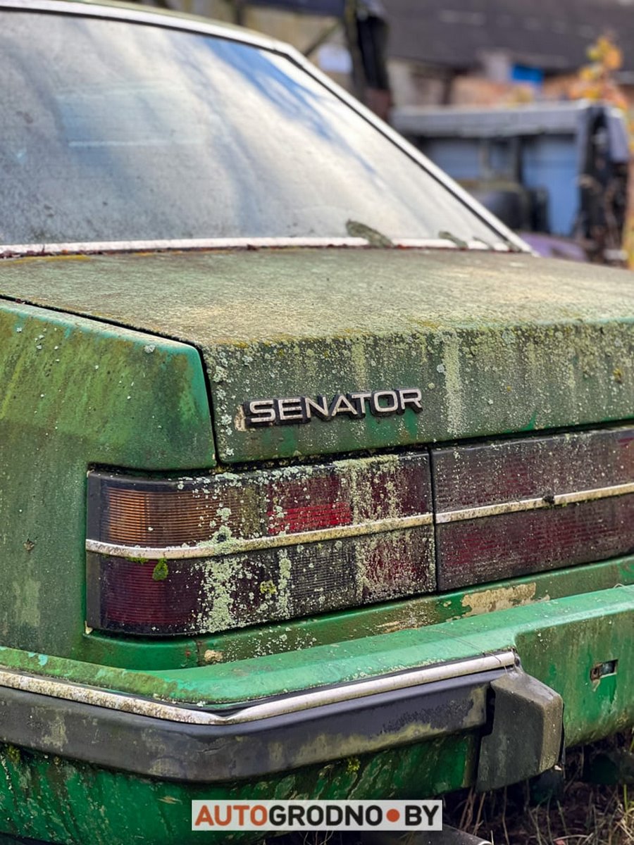 В Беларуси редкий Opel 10 лет врастал в землю и покрылся мхом. Но все равно машину купили