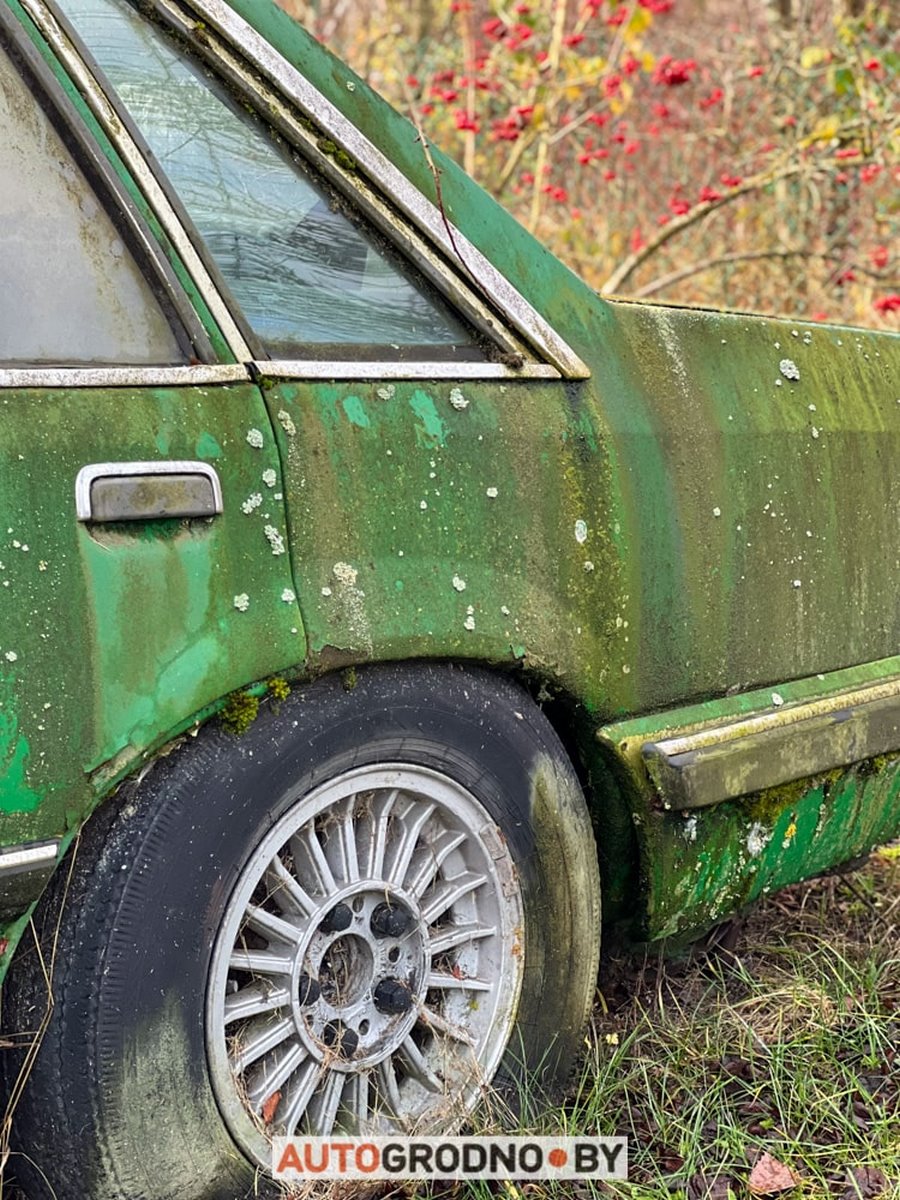 В Беларуси редкий Opel 10 лет врастал в землю и покрылся мхом. Но все равно машину купили