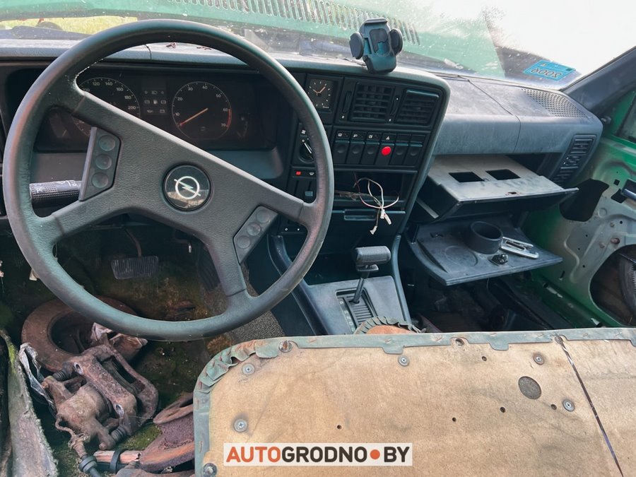 В Беларуси редкий Opel 10 лет врастал в землю и покрылся мхом. Но все равно машину купили