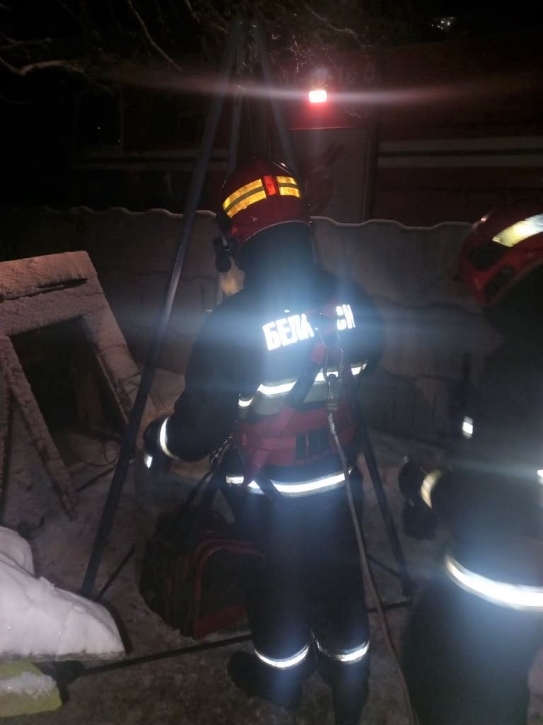 В Брестской области спасли кота