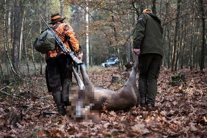 Фото из открытых источников (иллюстративное)