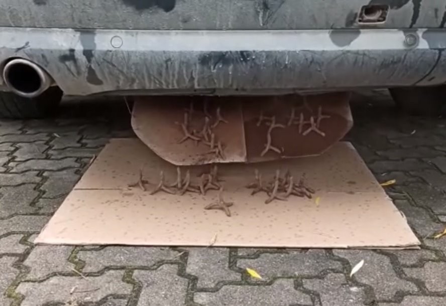 Контрабандисты сделали в Audi тайник, откуда высыпаются шипы на случай погони