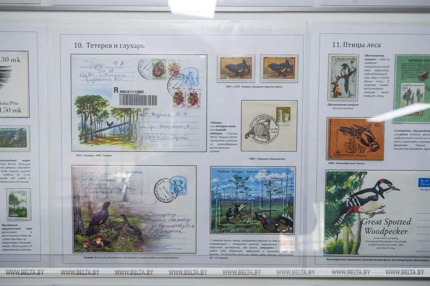 Коллекции из семи стран представлены в Бресте на филателистической выставке для детей и молодежи