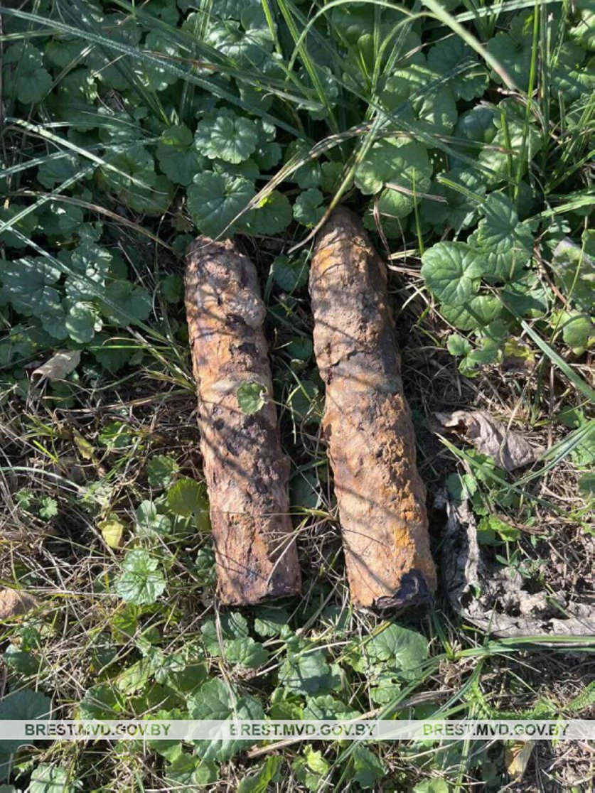 В Барановичском районе нашли более 40 гранат времен Первой мировой войны