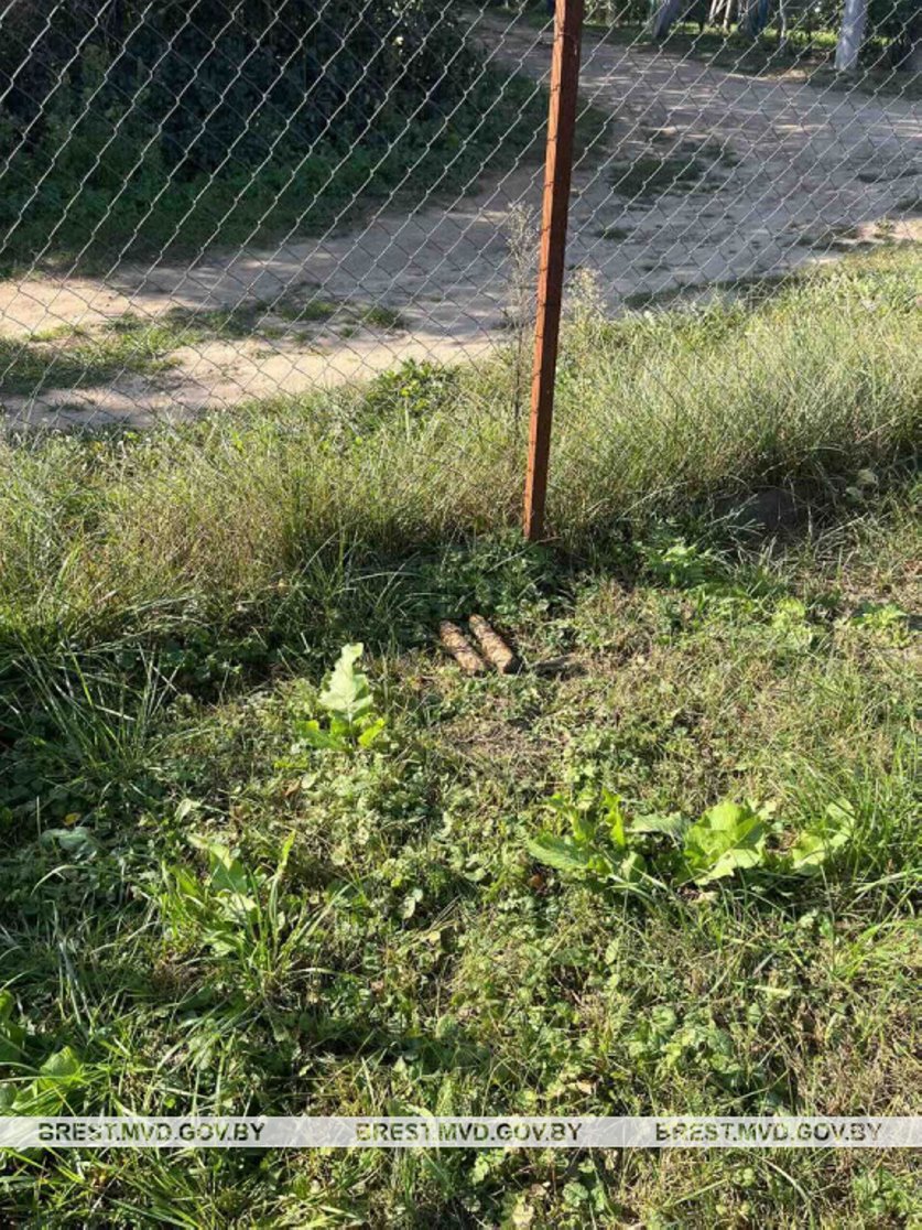 В Барановичском районе нашли более 40 гранат времен Первой мировой войны