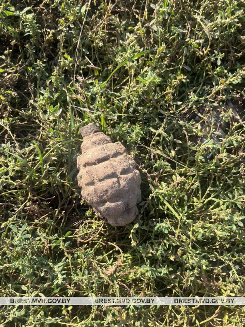 В Барановичском районе нашли более 40 гранат времен Первой мировой войны