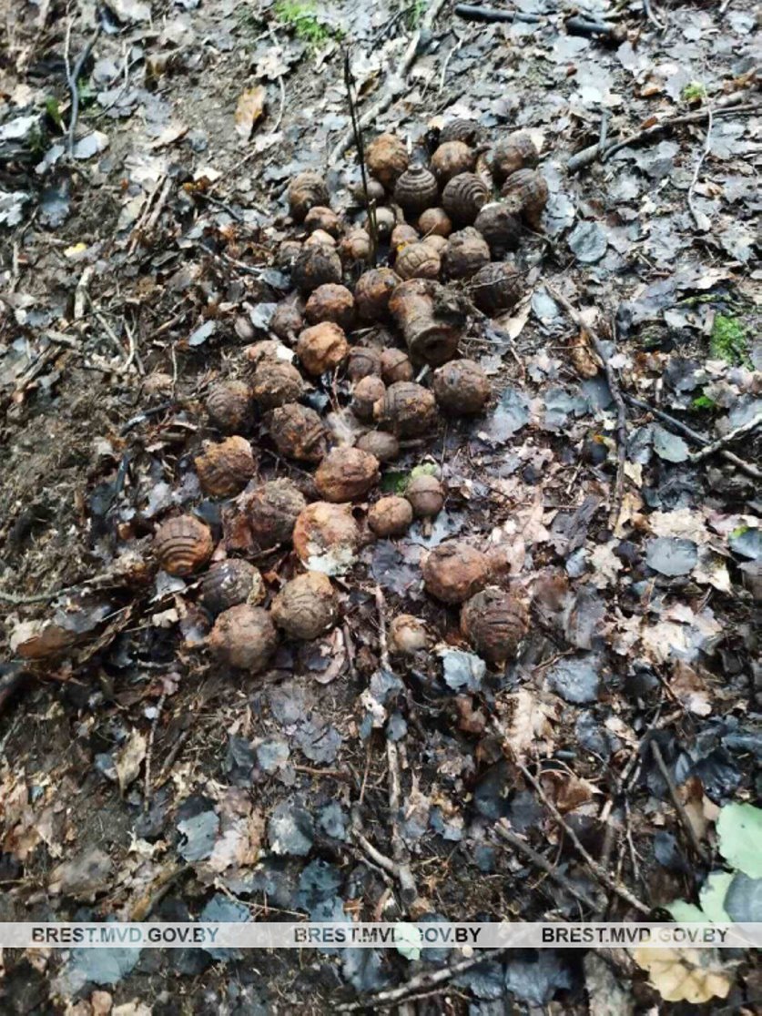 В Барановичском районе нашли более 40 гранат времен Первой мировой войны