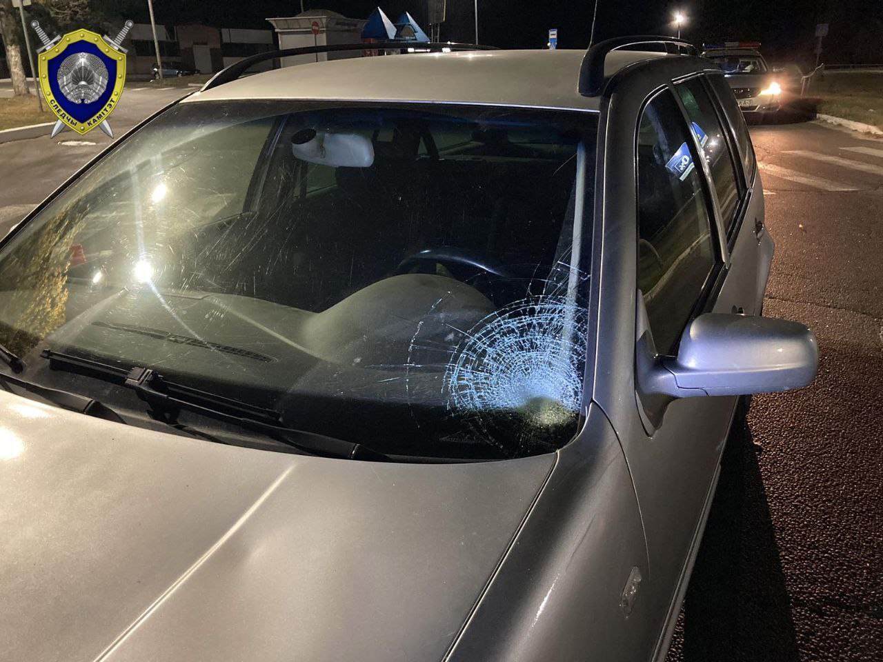 В Мозыре водитель сбил маму с ребенком на переходе