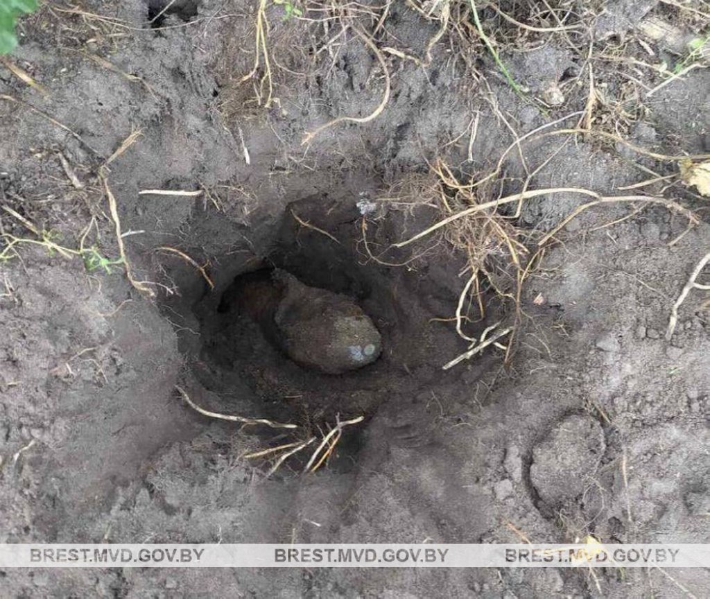 Житель деревни в Пинском районе обнаружил снаряд времен Великой Отечественной войны