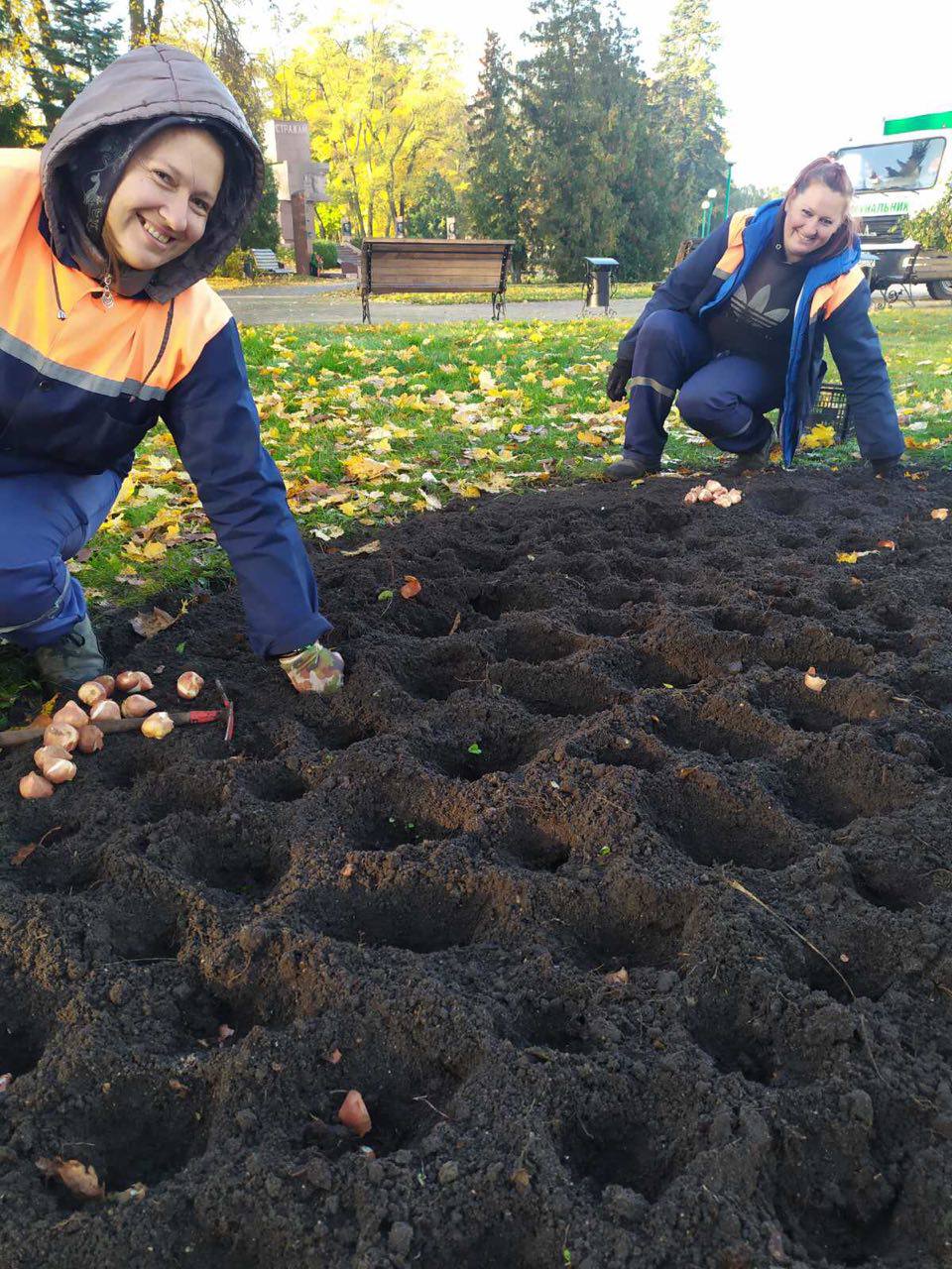 В Бресте будет высажено 50 тысяч тюльпанов
