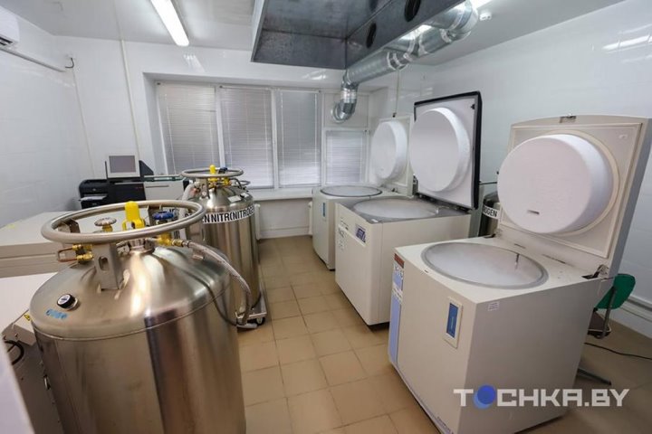 Зачем белорусы замораживают стволовые клетки своих детей