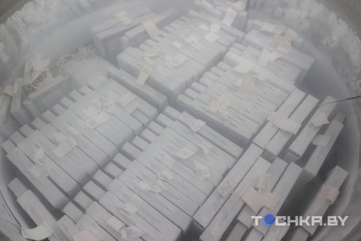 Зачем белорусы замораживают стволовые клетки своих детей