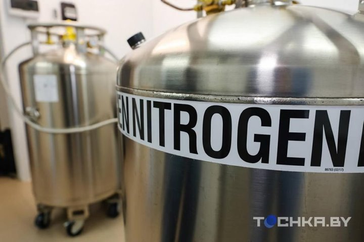 Зачем белорусы замораживают стволовые клетки своих детей