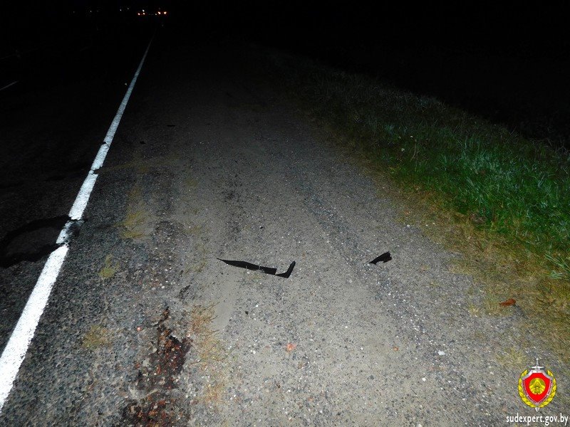 По фрагменту бампера судебные эксперты доказали причастность к смертельному ДТП