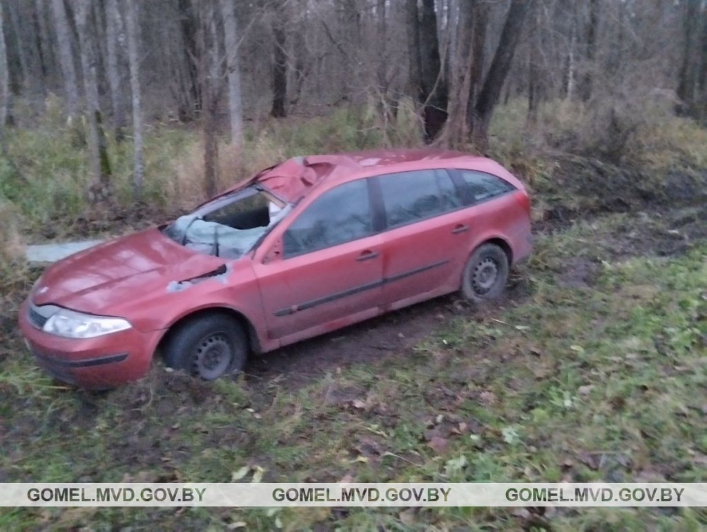 Лось стал причиной ДТП со смертельным исходом