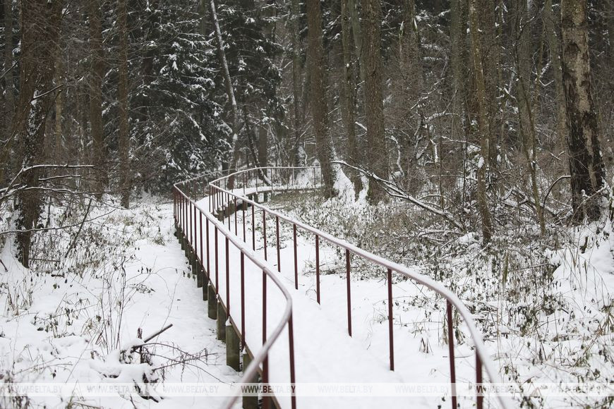 Партизанский Дед Мороз всю зиму будет принимать гостей в Ивацевичском районе
