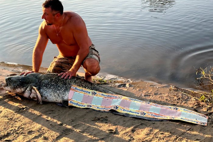 Белорус поймал на Припяти рекордного сома более 2 м в длину