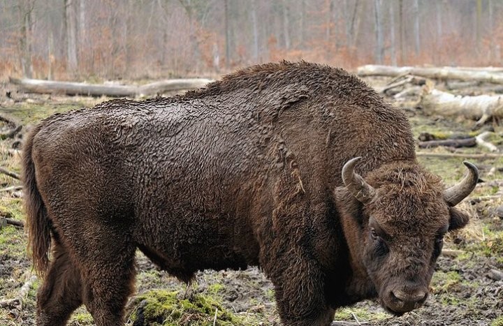 Фото из открытых источников (иллюстративное)