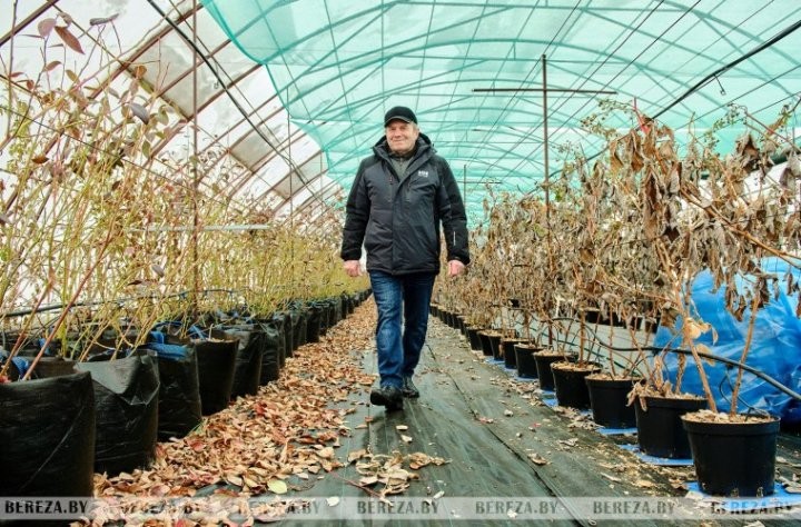 Что выращивает и какие инновационные технологии применяет фермер из Брестской области