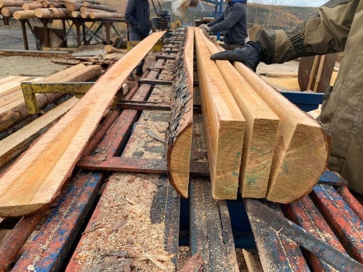 Правительство снижает стоимость деловой древесины для физлиц