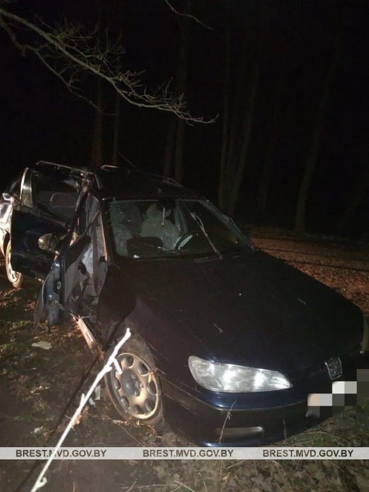 Молодой водитель из Пружан врезался в дерево в Малоритском районе
