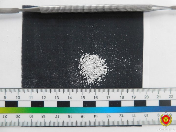 «Вписка» в Могилеве закончилась уголовным делом благодаря бдительным соседям