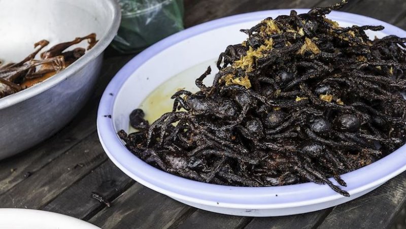 10 самых невкусных блюд в мире. А вы пробовали?