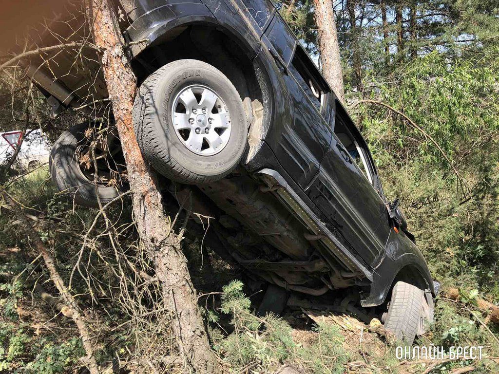 В Кобринском районе автоледи не справилась с управлением, легковушка повисла на дереве