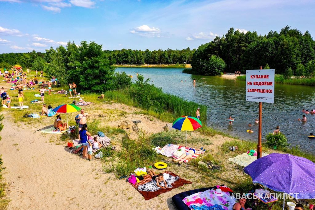 Хочется поднять такую важную тему, как выгул собак на озёрах