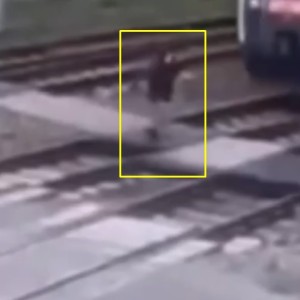 В Могилевской области поезд насмерть сбил пенсионерку. Видео