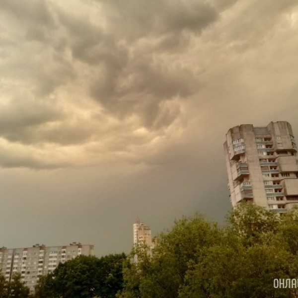 Март 2026 стал самым теплым и сухим в истории Беларуси