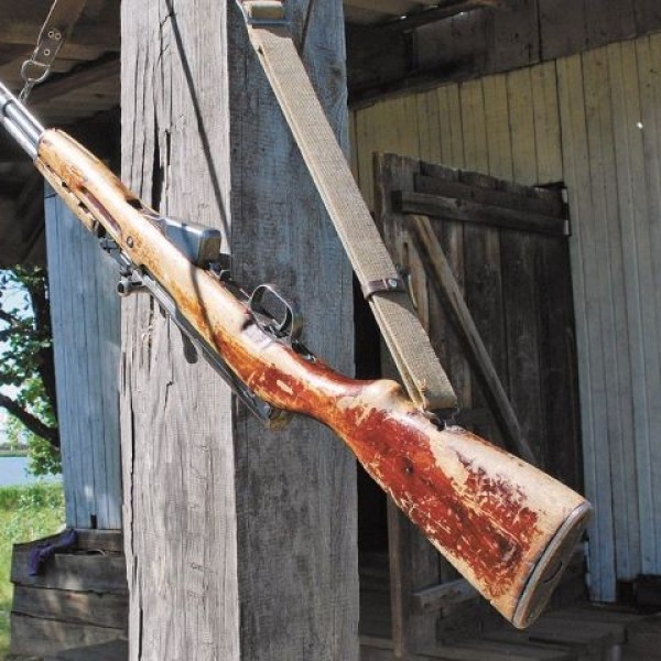 Незаконно добытый на охоте олень благородный стал «золотым»