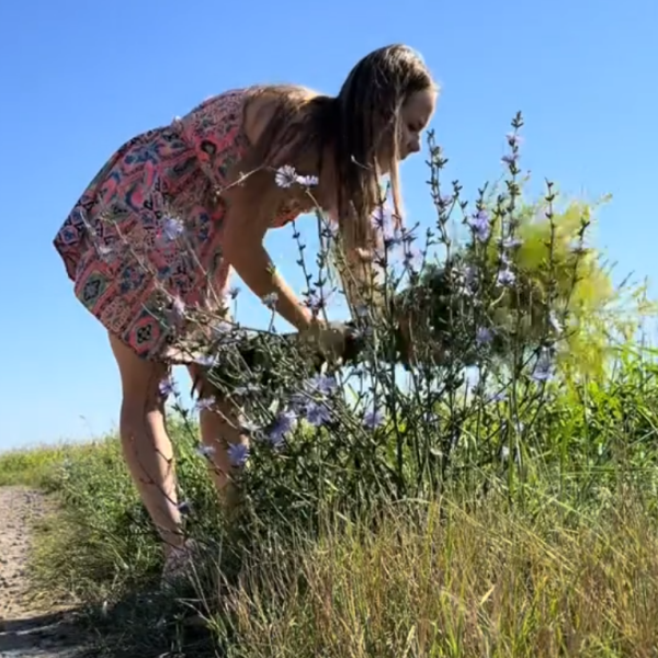 Пластиковые цветы в Беларуси под угрозой запрета: что предлагают вместо них