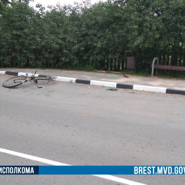 В Каменецком районе житель Бреста сбил велосипедистку