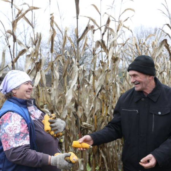 Трактор, поле и любовь: история большой семьи из Малоритского района