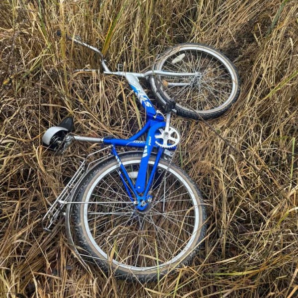 Шестой день поисков Максима Зеньковича: пешая группа нашла велосипед